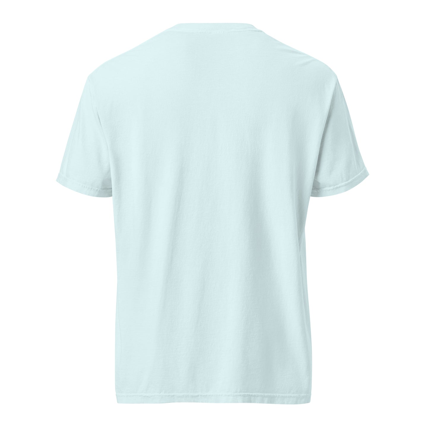 Which Child Am I Funny Seder Shirt