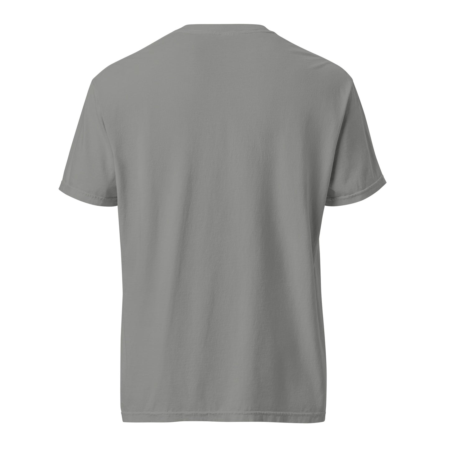 Which Child Am I Funny Seder Shirt