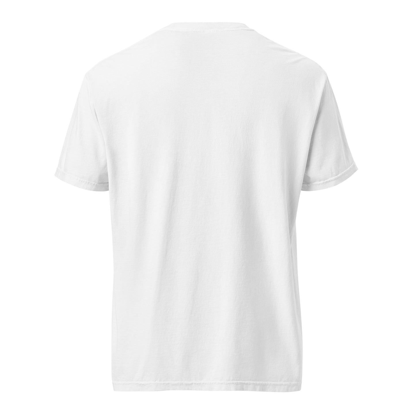 Which Child Am I Funny Seder Shirt