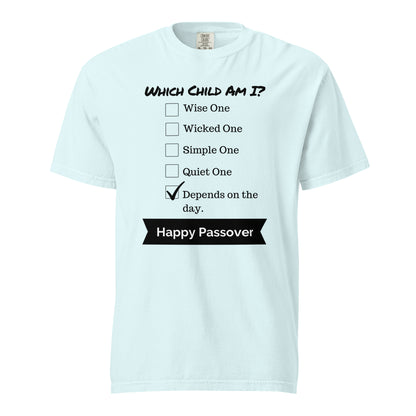 Which Child Am I Funny Seder Shirt